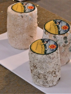 Charolais